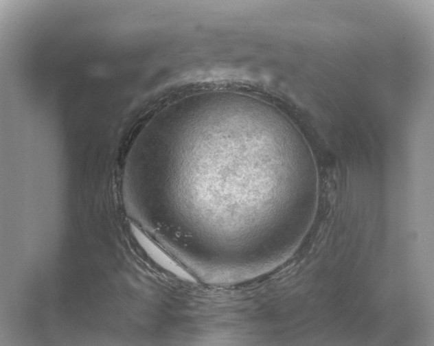 X0000068821493200605081131