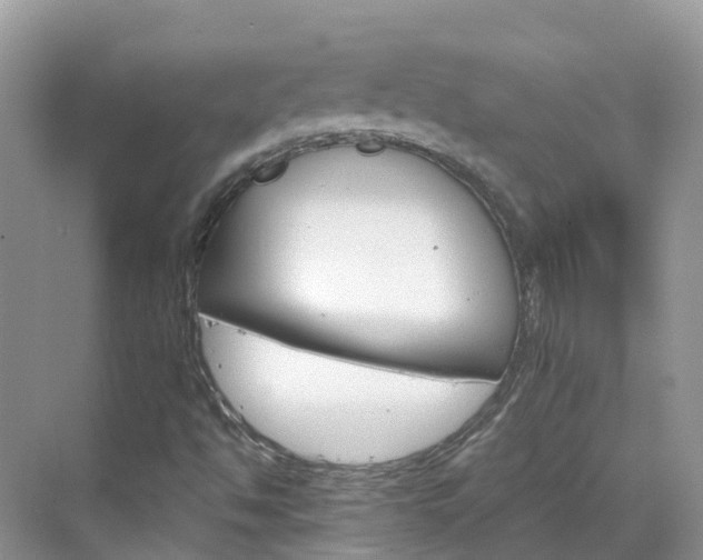 X0000068821494200605081131