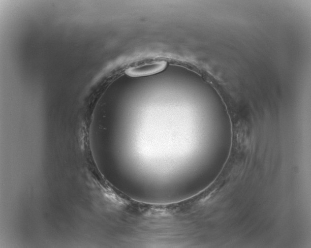 X0000068821495200605081132