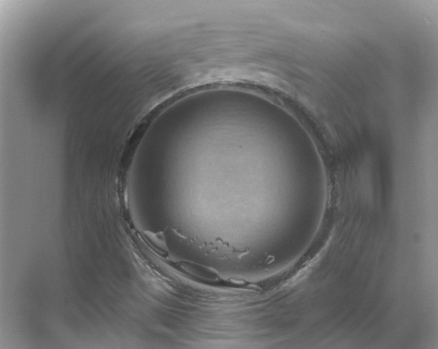 X0000068821497200605081132