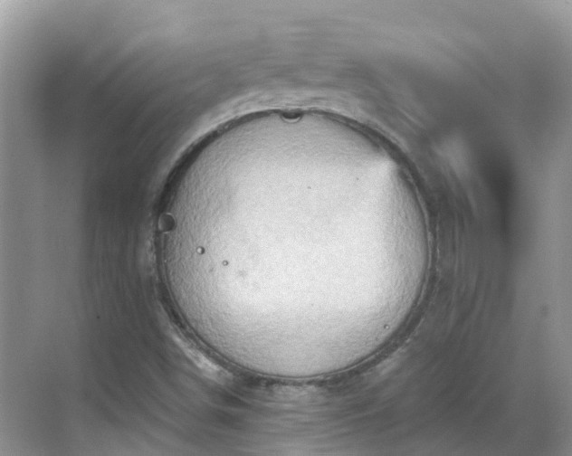 X0000068821498200605081132