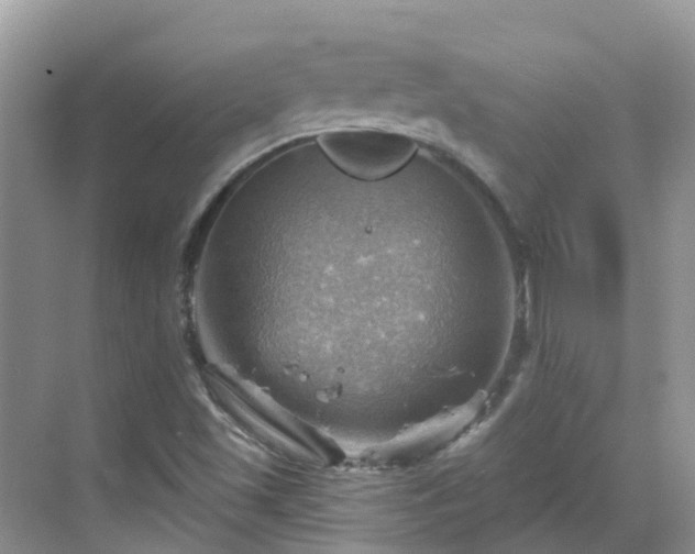 X0000068821501200605081132