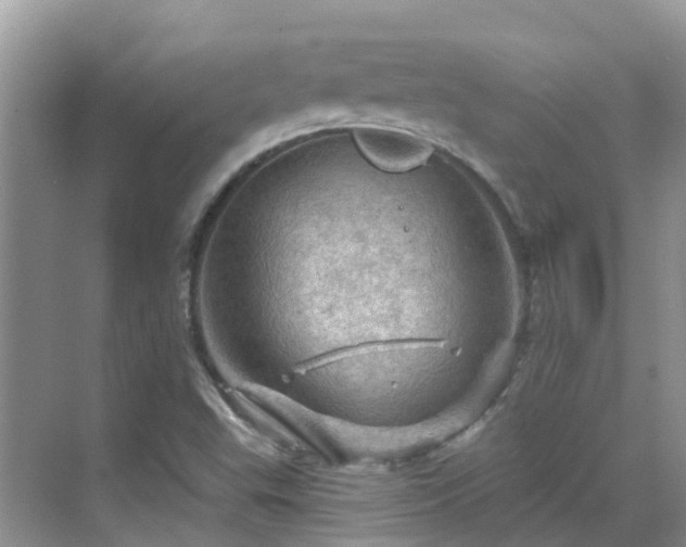 X0000068821503200605081132