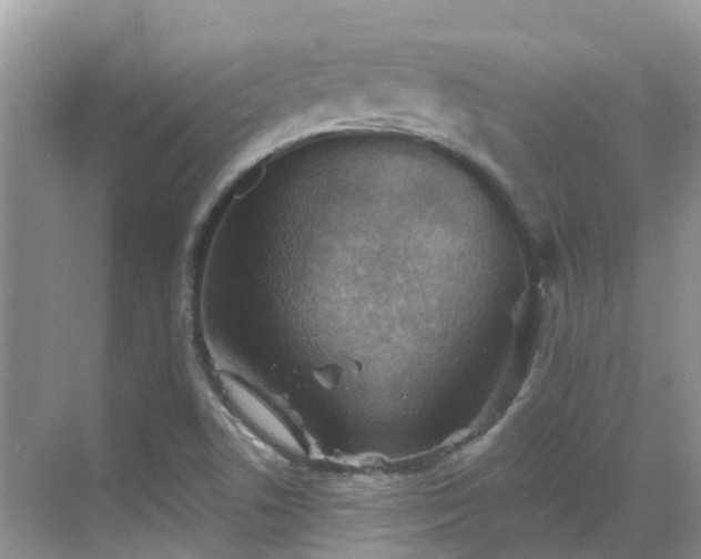 X0000068821506200605081132