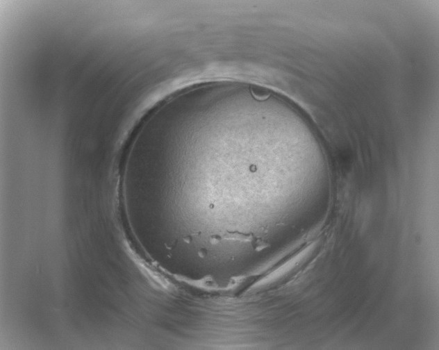 X0000068821507200605081132