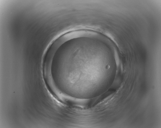 X0000068821508200605081132