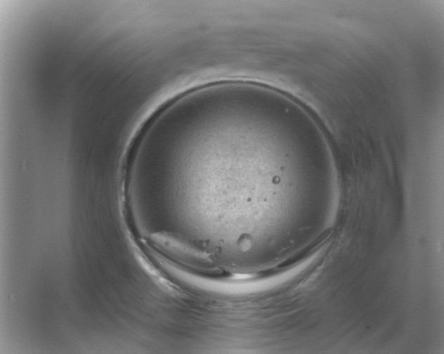 X0000068821511200605081132