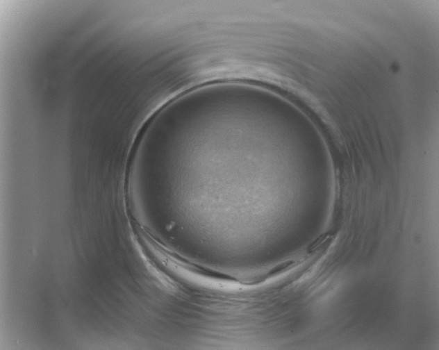 X0000068821513200605081132