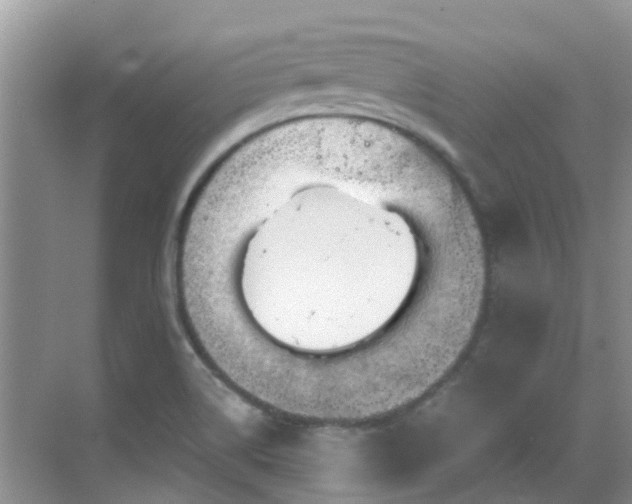 X0000068821514200605081132