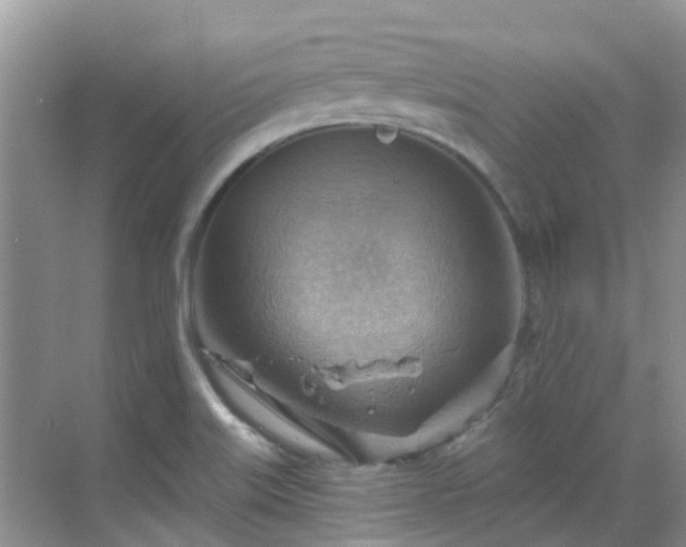 X0000068821515200605081132