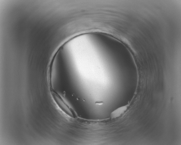 X0000068821516200605081132