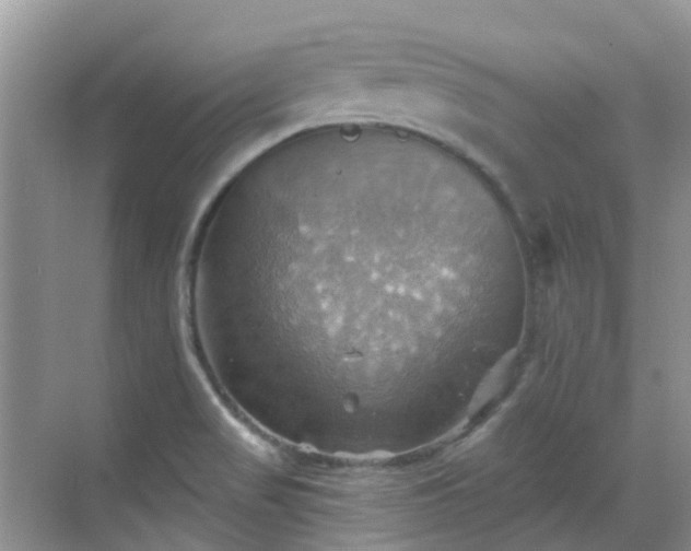 X0000068821517200605081132