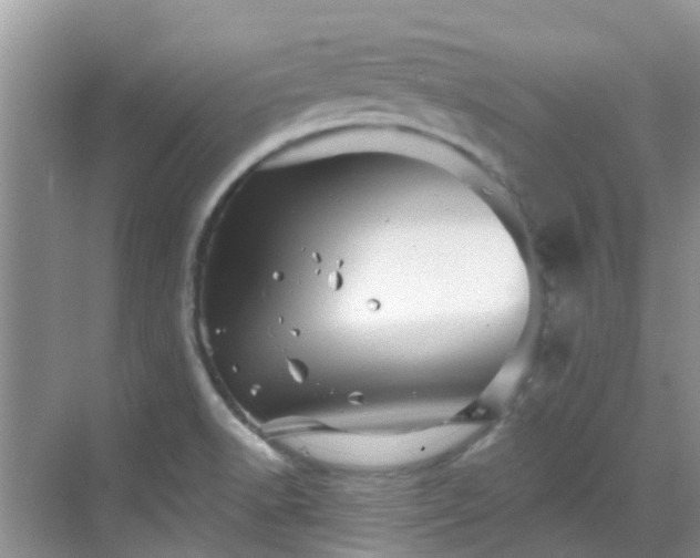 X0000068821518200605081132