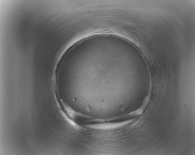 X0000068821519200605081132