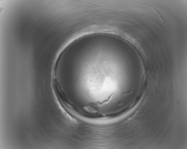 X0000068821520200605081132