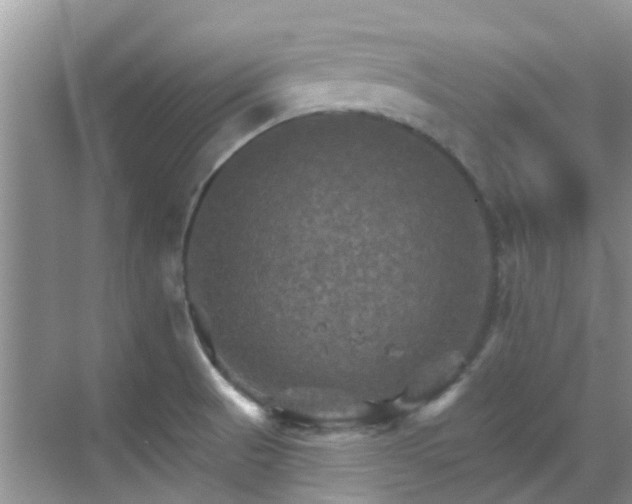 X0000068821521200605081132