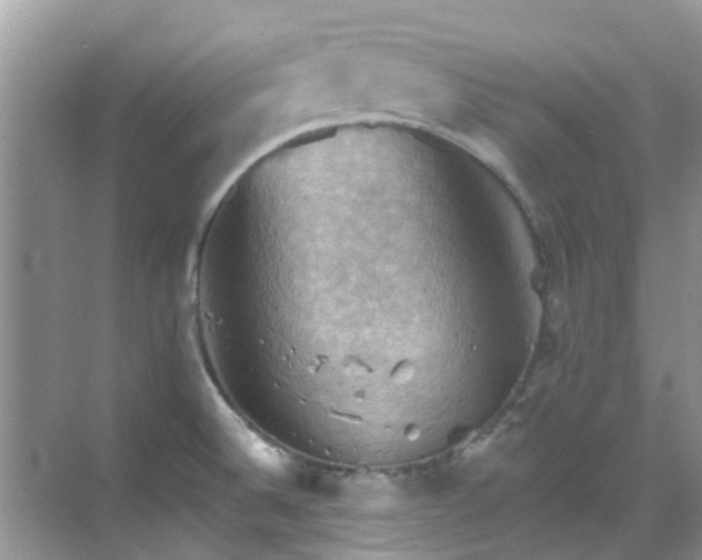 X0000068821524200605081132