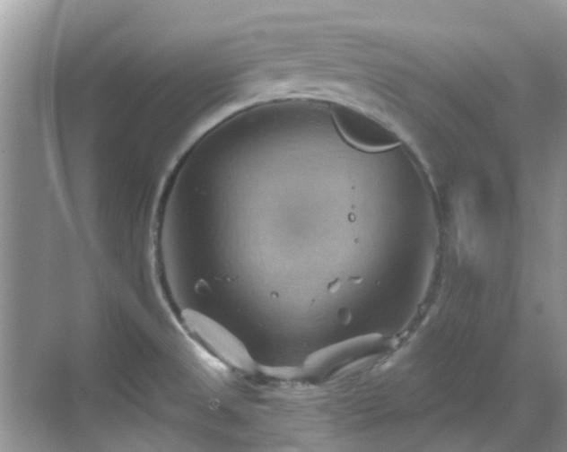 X0000068821525200605081132