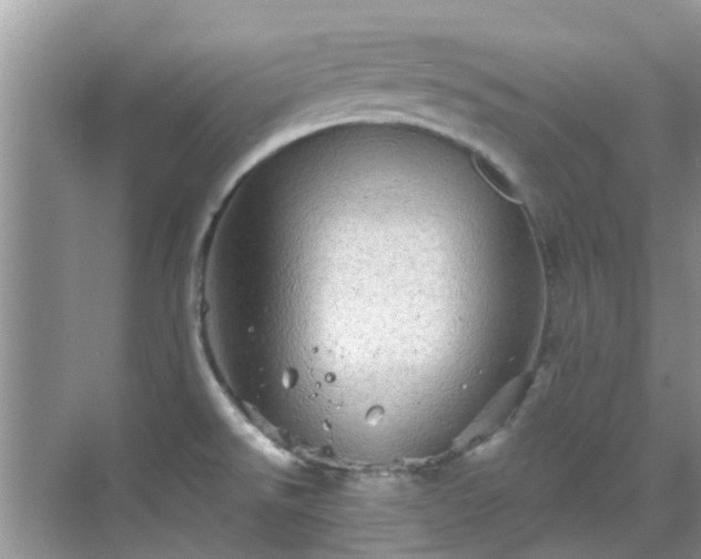 X0000068821526200605081132