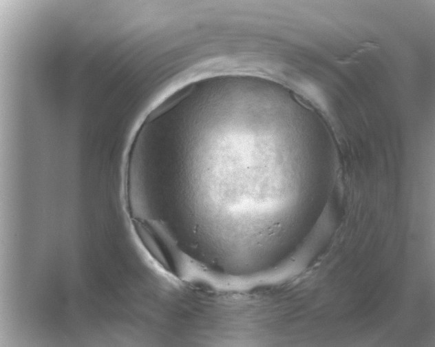 X0000068821528200605081132