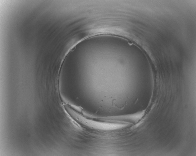 X0000068821529200605081132