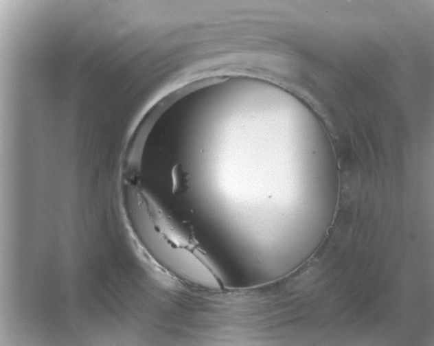 X0000068821530200605081132