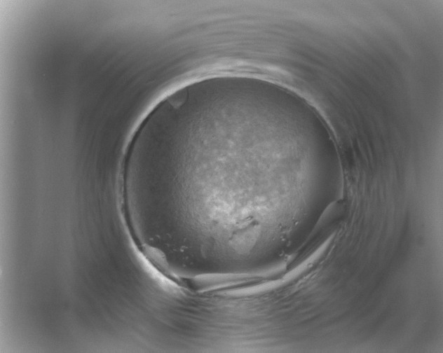 X0000068821531200605081132