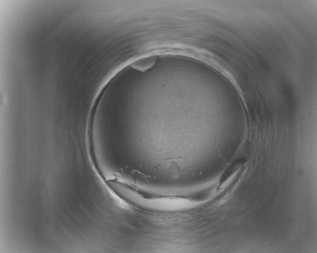 X0000068821533200605081132