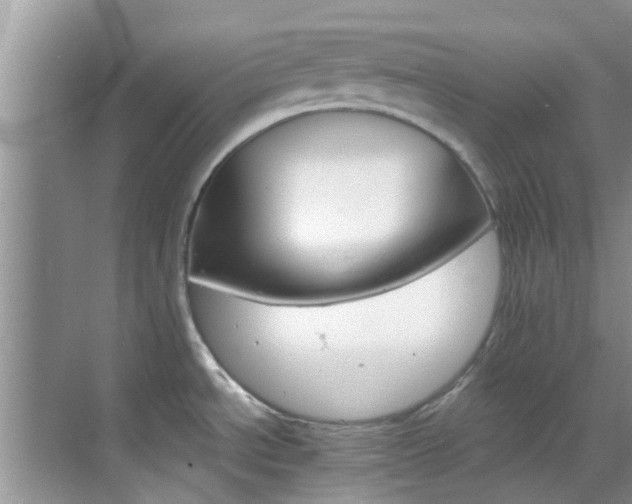 X0000068821534200605081132