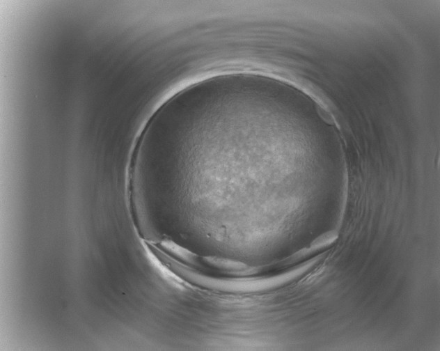 X0000068821535200605081132