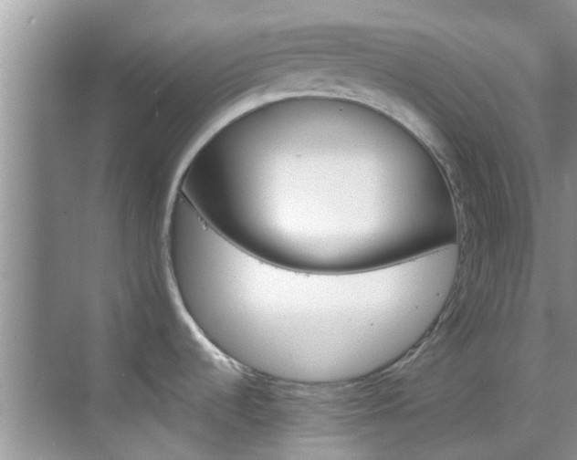 X0000068821536200605081132