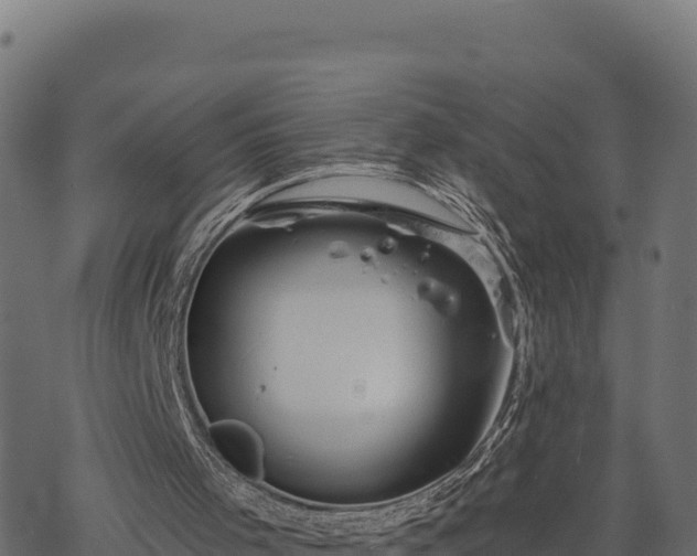 X0000068820001200605121327