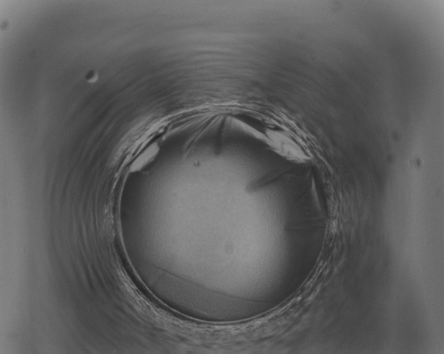 X0000068820002200605121327