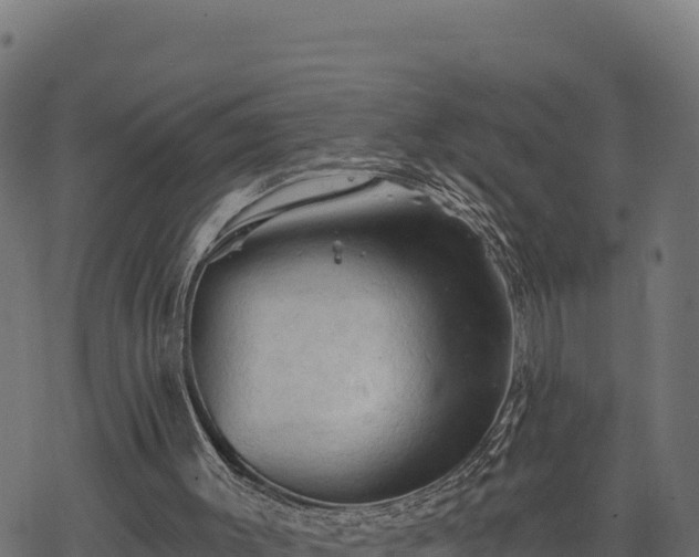 X0000068820003200605121327