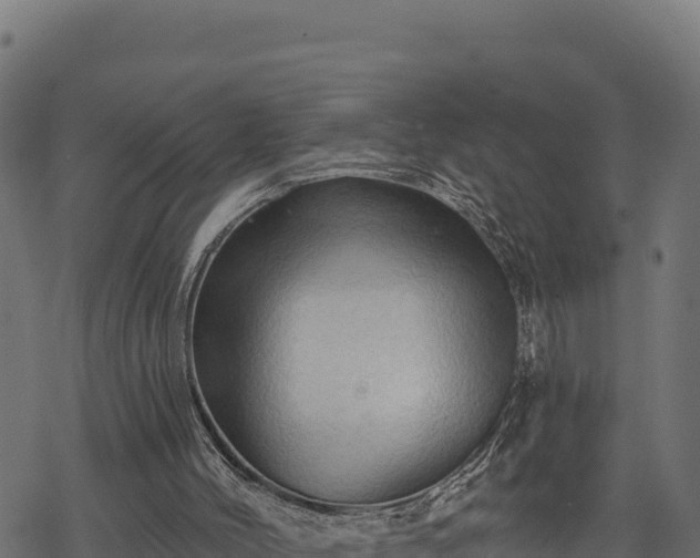 X0000068820004200605121327