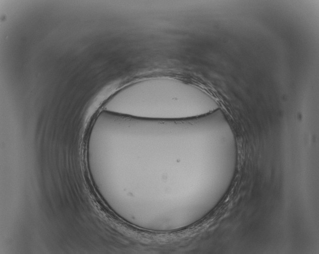 X0000068820006200605121327