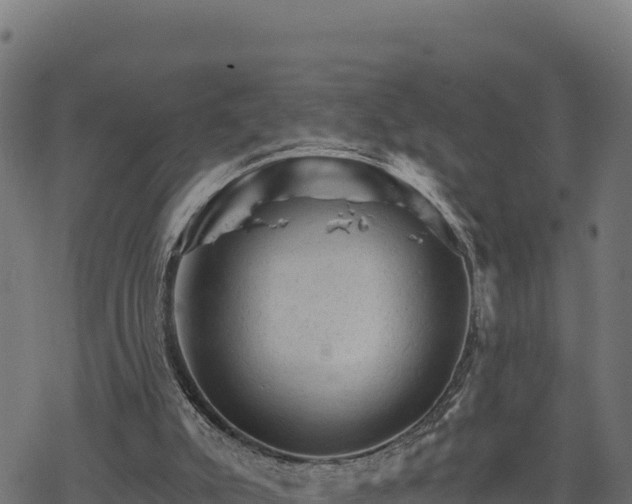 X0000068820007200605121327