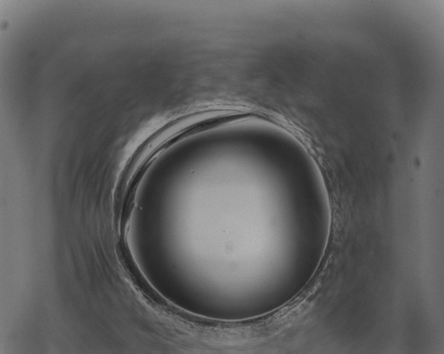 X0000068820008200605121327