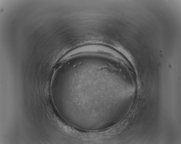 X0000068820009200605121327