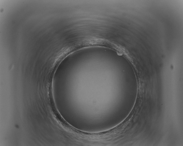 X0000068820010200605121327