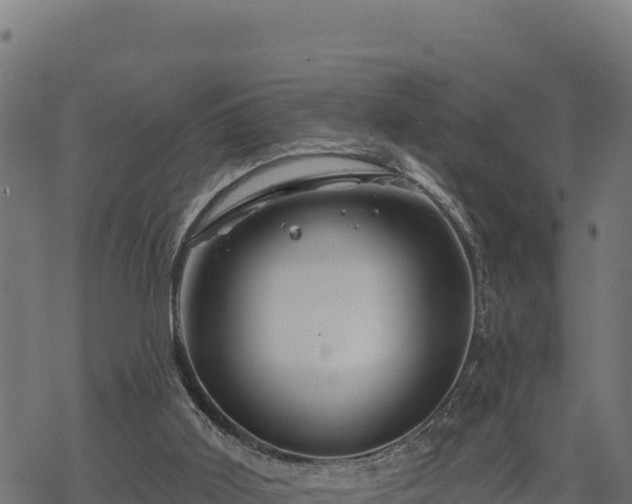 X0000068820011200605121327