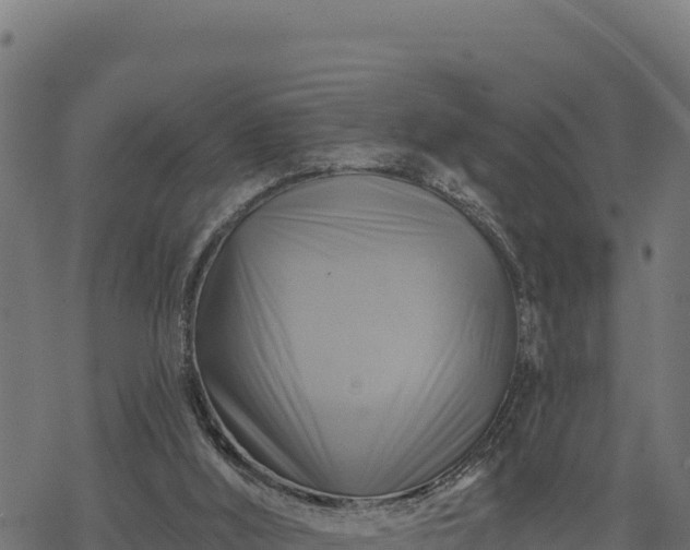 X0000068820012200605121327