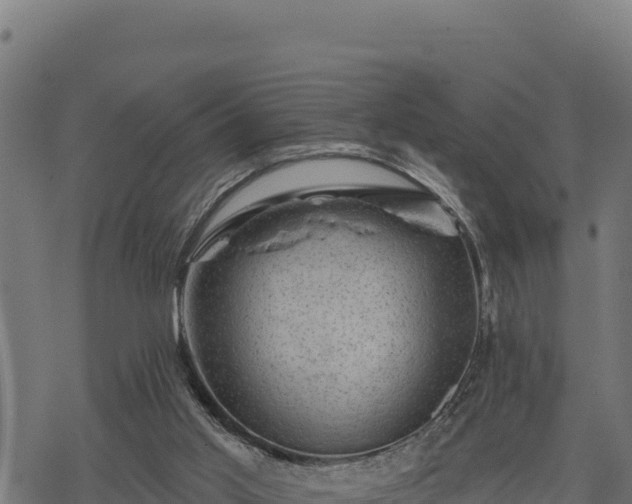 X0000068820013200605121327