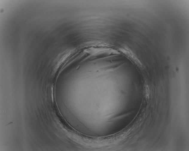 X0000068820014200605121327