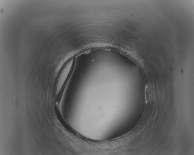 X0000068820015200605121327