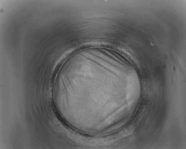 X0000068820016200605121327