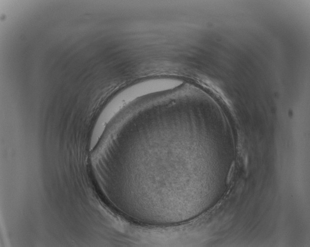 X0000068820017200605121327