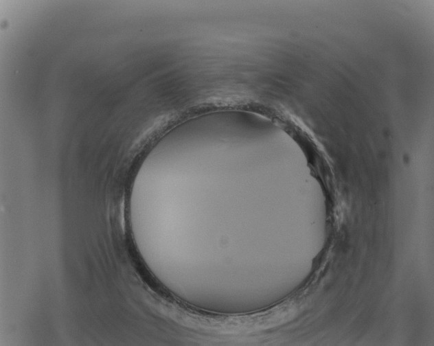 X0000068820019200605121327