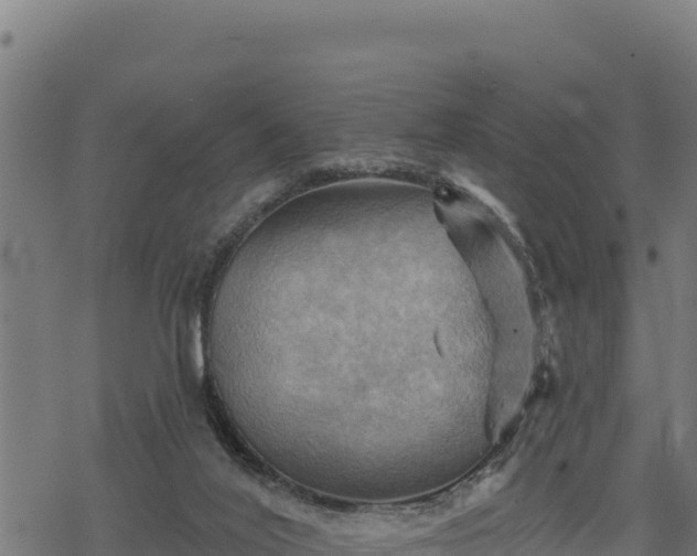 X0000068820020200605121327