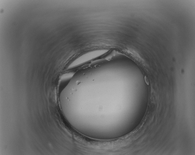 X0000068820021200605121327